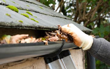 gutter cleaning Hapsford