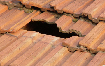 roof repair Hapsford